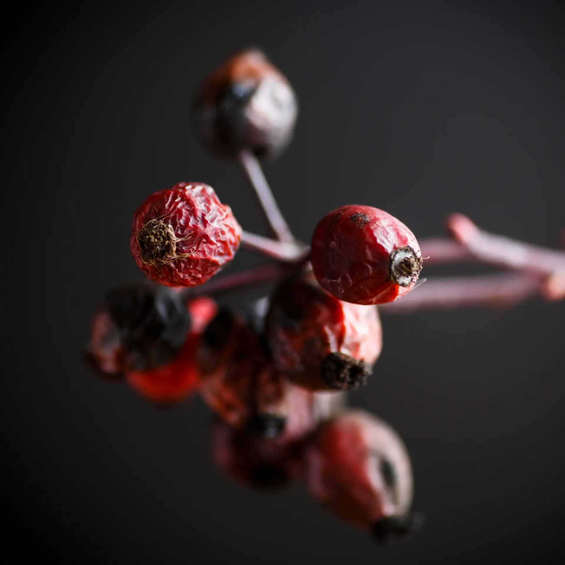 Rose Hip Tea - Image 3