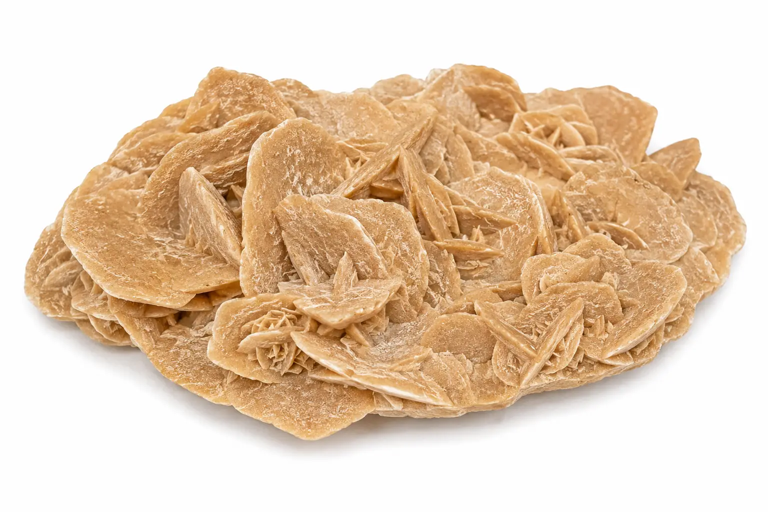 Desert Rose (large)